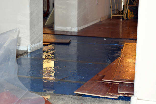 Professional Water Damage technician working in Rockport, MA